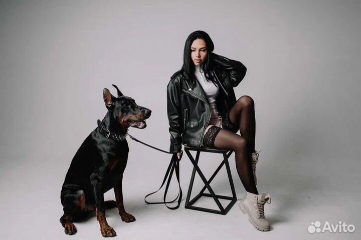 Фотосессия с доберманом