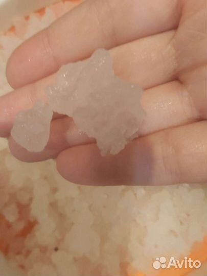 Молочный гриб (Тибетский), Индийский рис, закваска