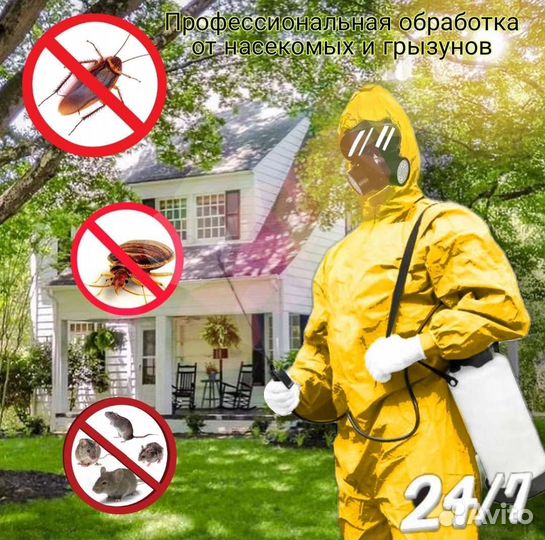 Дезинсекция и дератизация
