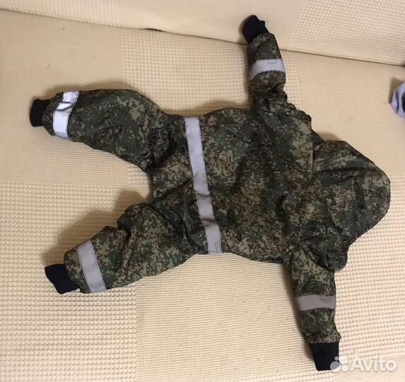 Одежда для собак