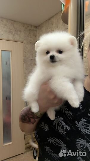 Уфа Девочка Блондинка