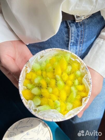 Набор «Цитрус»