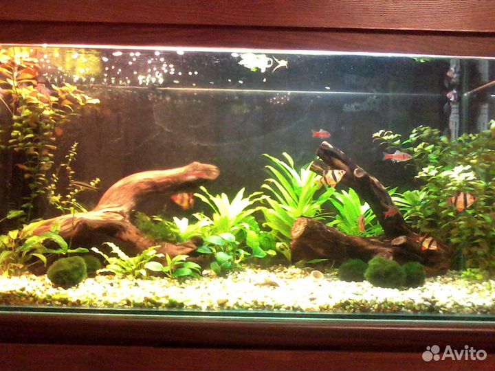 Аквариум с тумбой 220 литров