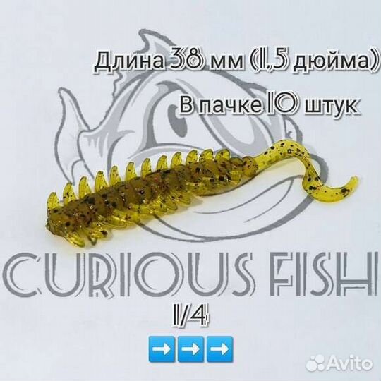 Curious Fish Brabsy 1.5 дюйма (38 мм)