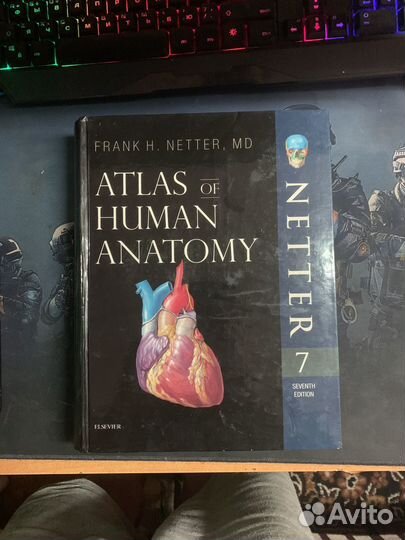 Anatomy netter seventh edition (English)