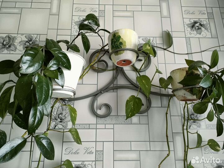 Комплект: цветочницы+цветы+горшки