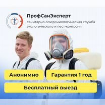 Уничтожение тараканов клопов плесени - дезинфекция