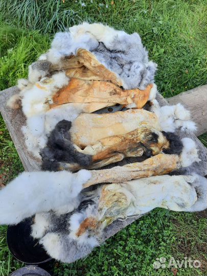 Шкурки кроликов