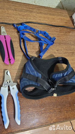 Когтерез, Поводок, шлейка