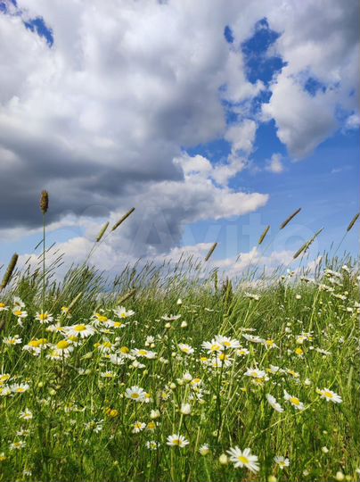 Участок 6,7 сот. (ИЖС)