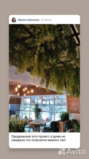 Фитостена. Услуги по изготовлению фитостен