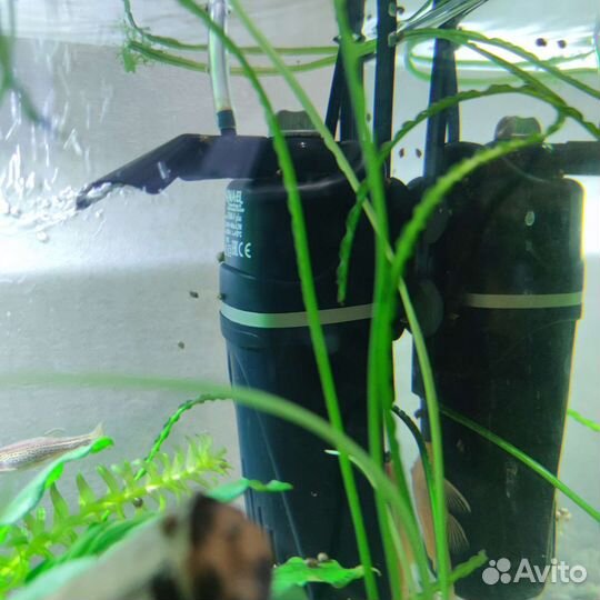Аквариум полный комплект