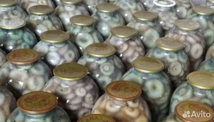 Грибы оптом