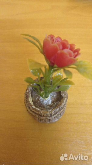 Для аквариума