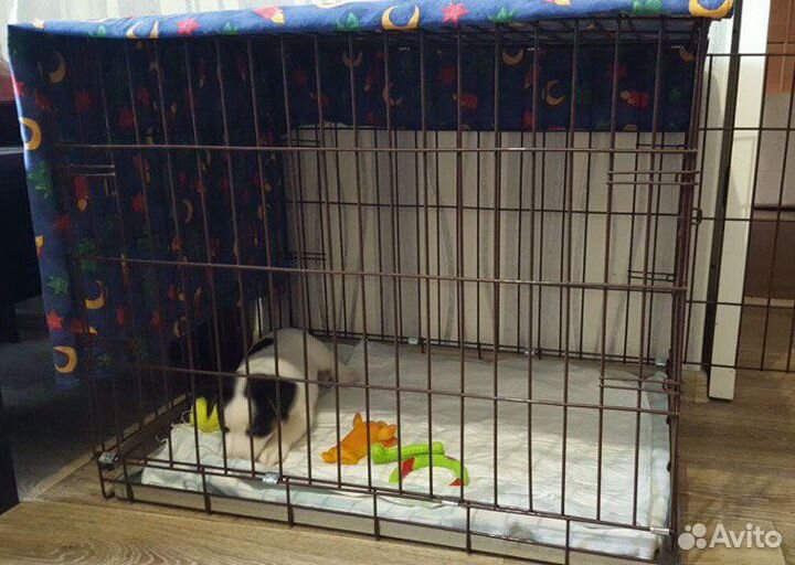 Клетка для животных