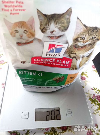 Корм для котят hills