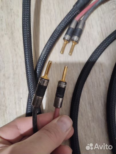 QED, made in apature