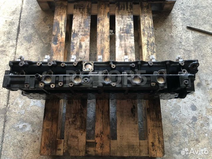 Головка блока цилиндров MAN TGX 2007 51031013460