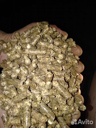 Шрот подсолнечный и жмых