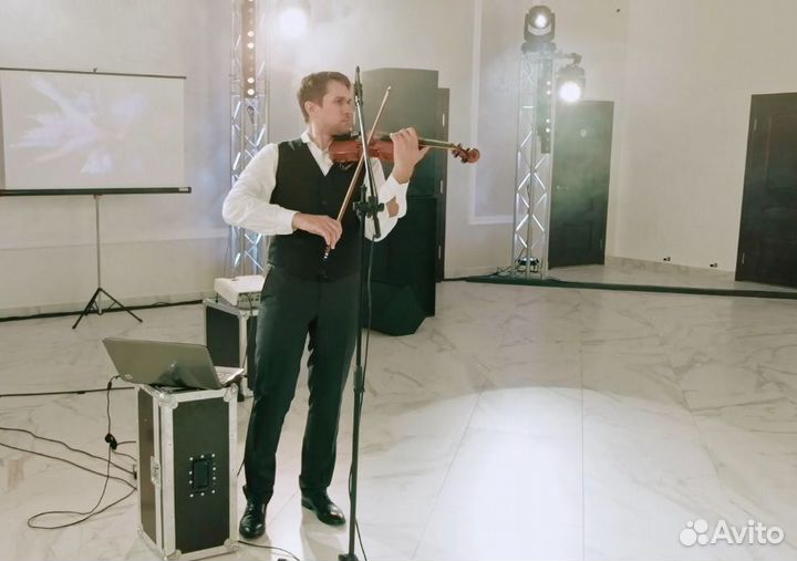 Скрипач на мероприятие, профессиональный звук