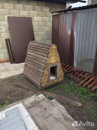 Собачья будка