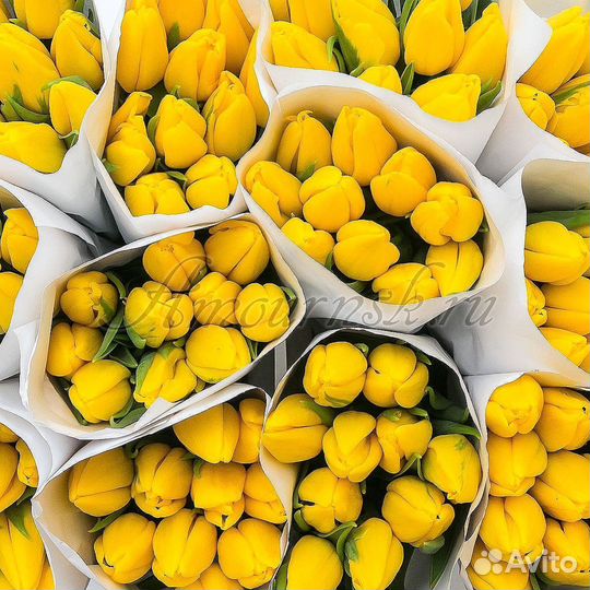 Тюльпаны / 8 марта / Букет из тюльпанов