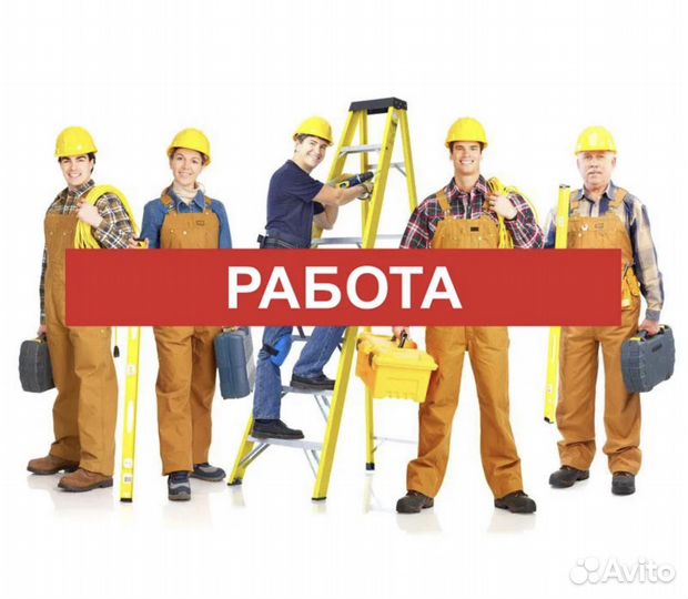 Оператор линий