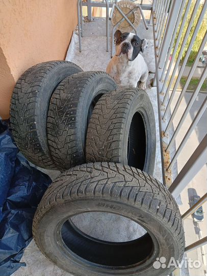 Hankook Winter I'Pike 175/65 R14