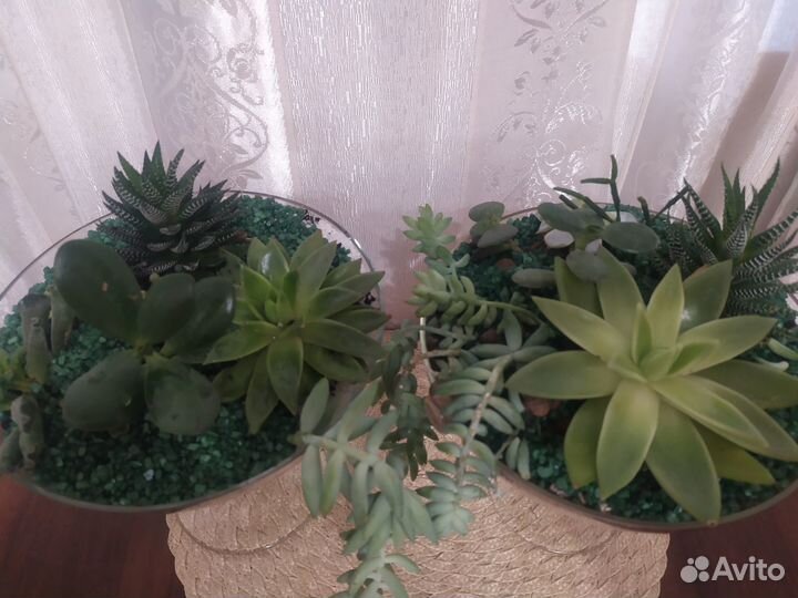 Флорариум в вазе на ножке