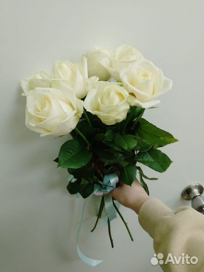 Цветы и букеты 5 - 51 шт. и больше