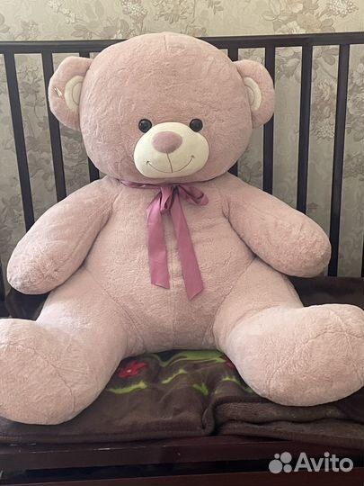 Мишка Тедди