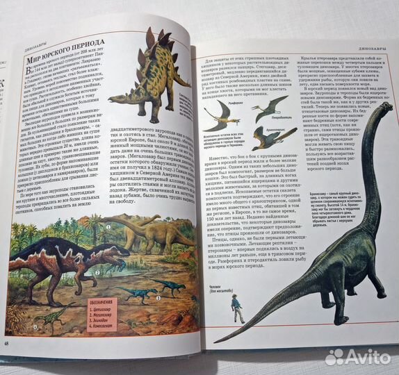 Иллюстрированная энциклопедия школьника