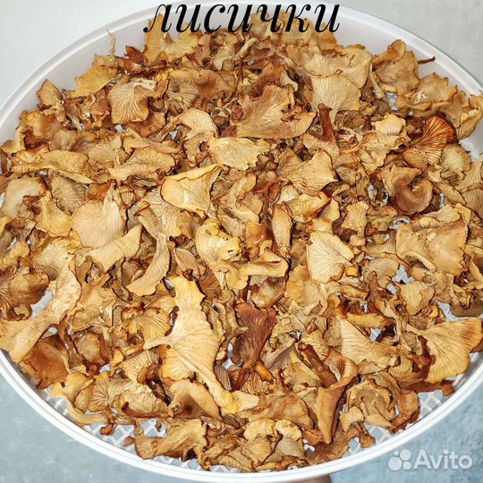 Грибы соленые, маринованные, сушеные