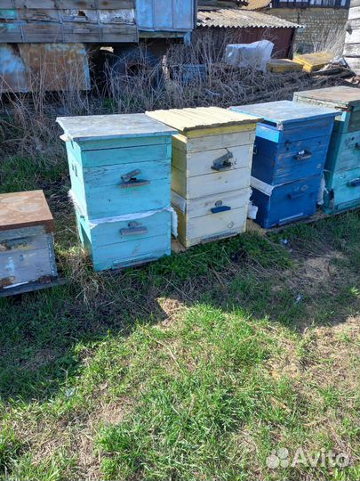 Улья, пчелоинвентарь