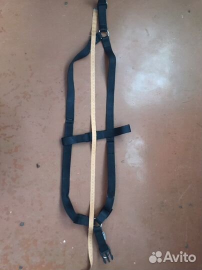 Шлейка для средней собаки и обувь для собак