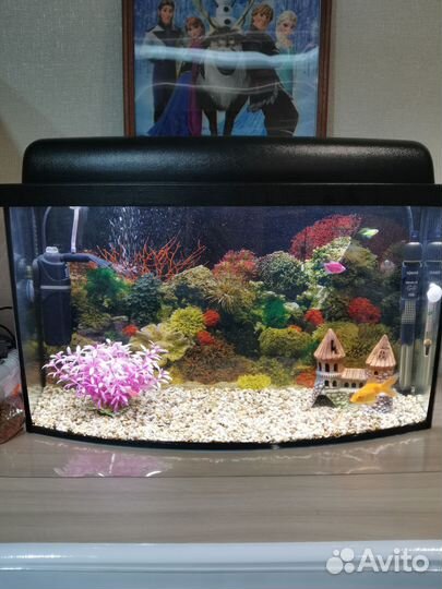 Аквариум