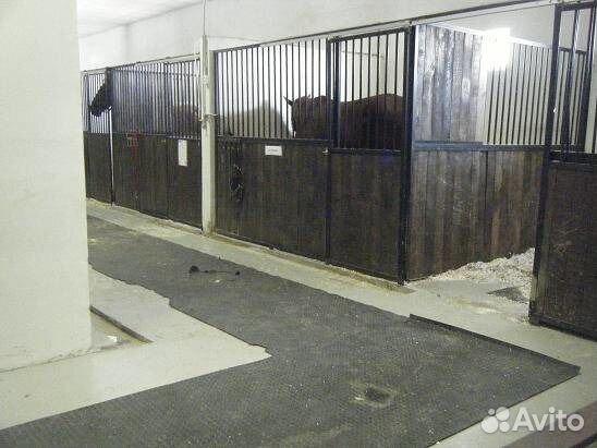 Постой лошадей. Гатчинский район