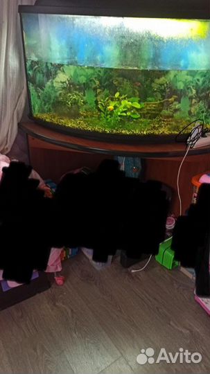 Аквариум с тумбой бу 100л