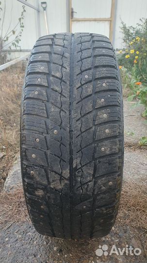 Zeta Antarctica Ice 205/55 R16
