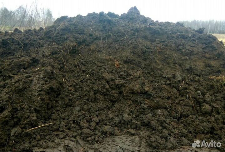 Плодородный грунт. Грунт. Чернозем