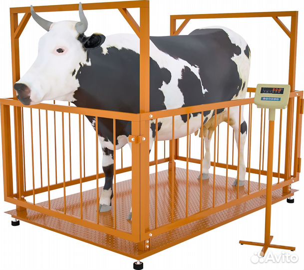 Весы для крс 300 кг 0,75х1м