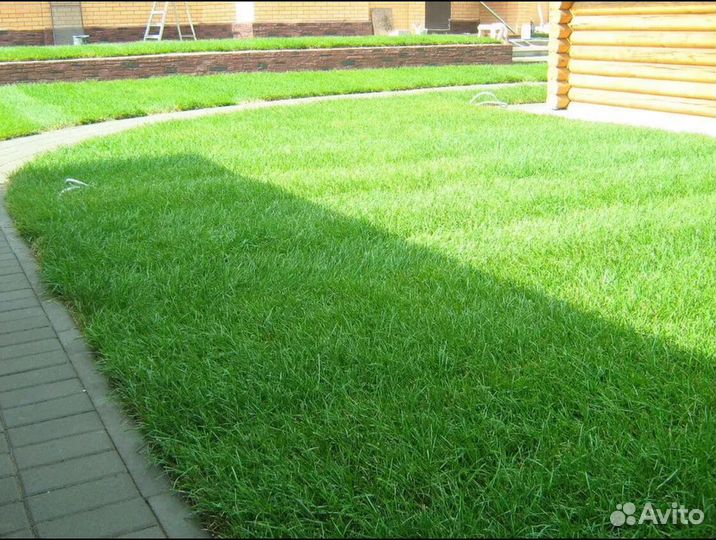 Рулонный газон Элитный под ключ