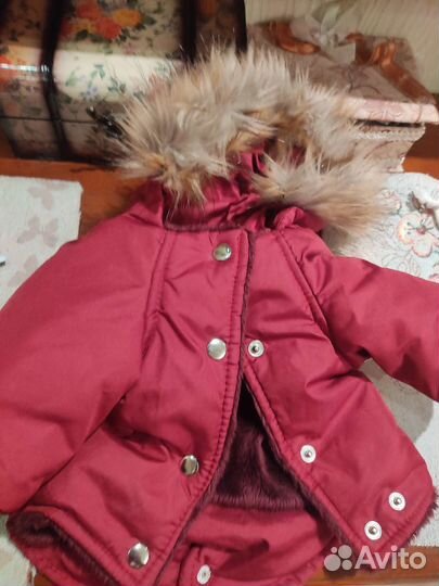 Куртка и дождевик для маленькой собачки