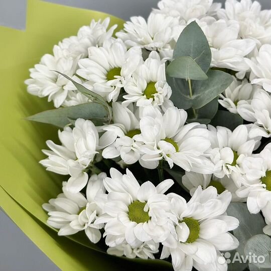 Букет кустовых ромашковидных хризантем с эвкалипто