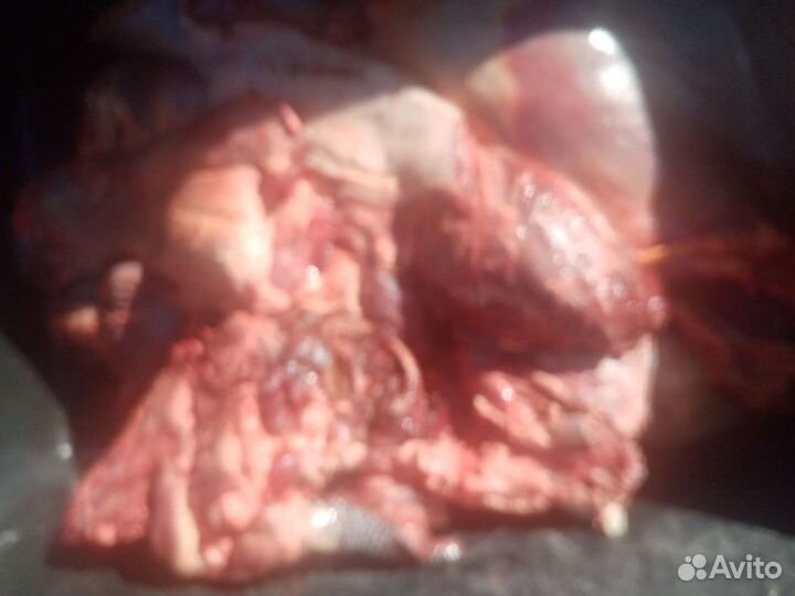 Мясо для собак