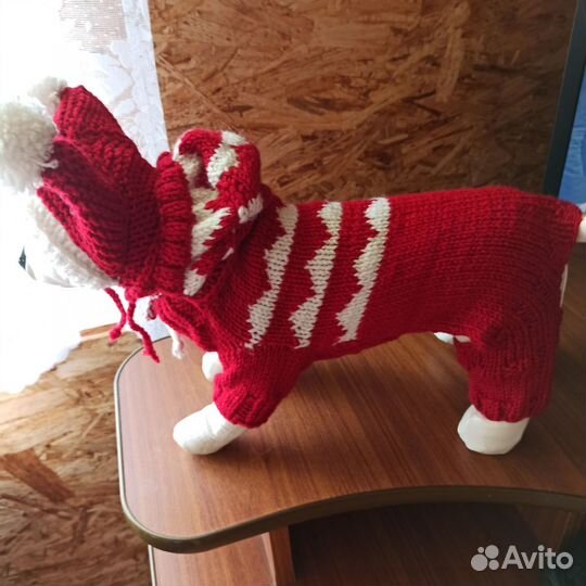 Предлагаю связанную одежду для собак