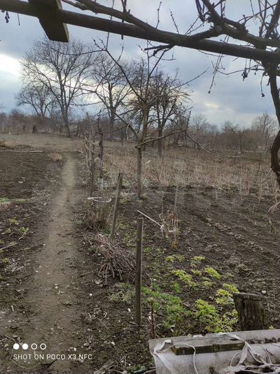 Дом 54 м² на участке 17 сот.