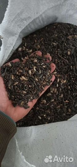 Семечка для птиц