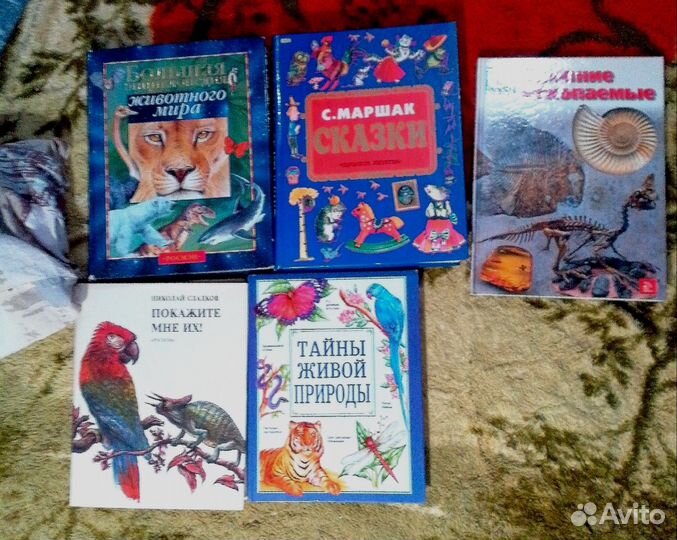 Энциклопедии и детские книги стихи
