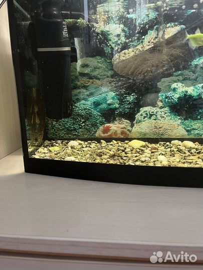 Аквариум